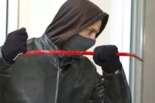 Thief